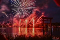 MetzByNight_Animations_005