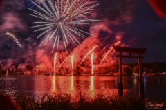 MetzByNight_Animations_005