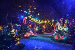 MetzByNight_Noel_004