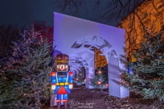 MetzByNight_SentiersLanternes2020_001