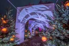 MetzByNight_SentiersLanternes2020_002
