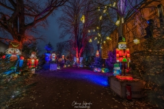 MetzByNight_SentiersLanternes2020_003