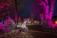 MetzByNight_SentiersLanternes2020_004