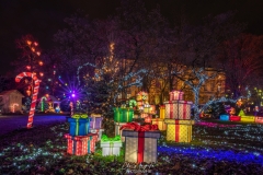 MetzByNight_SentiersLanternes2020_006