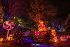 MetzByNight_SentiersLanternes2020_007