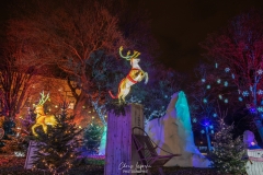MetzByNight_SentiersLanternes2020_010