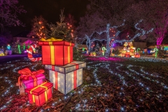 MetzByNight_SentiersLanternes2020_012