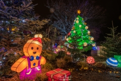 MetzByNight_SentiersLanternes2020_014