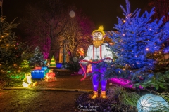 MetzByNight_SentiersLanternes2020_015