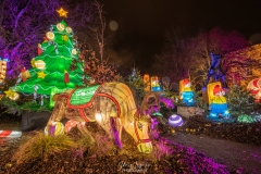 MetzByNight_SentiersLanternes2020_016